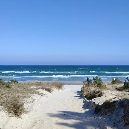 Zum Boddenblick Apartamento